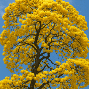 Árbol de Lapacho Amarillo