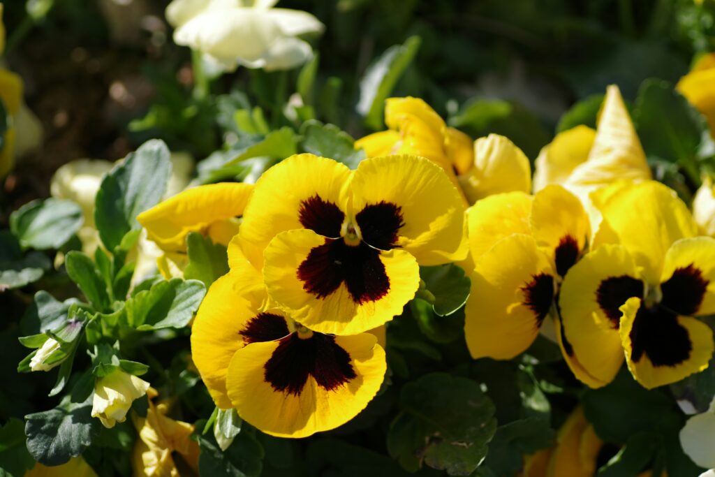 Pensamientos color amarillo